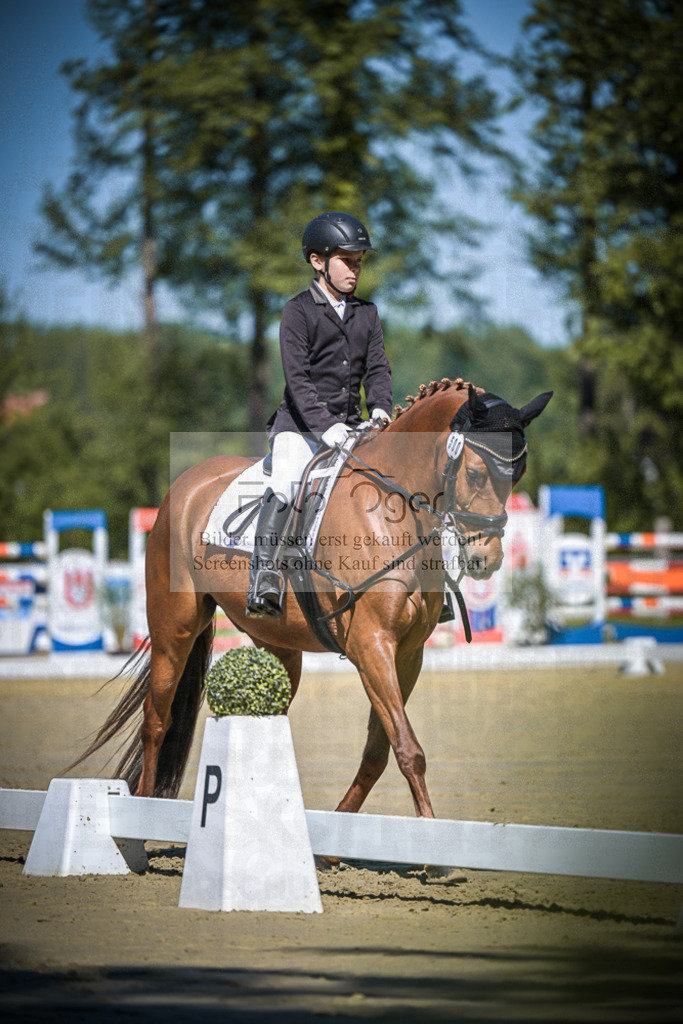 DOS_7635 | Entdecke hochwertige Reitturnierfotos von Foto Oger. Professionell, emotional und authentisch – jetzt Lieblingsmomente im Shop bestellen.Deutschlandweite Turnierfotografie. - Realisiert mit Pictrs.com