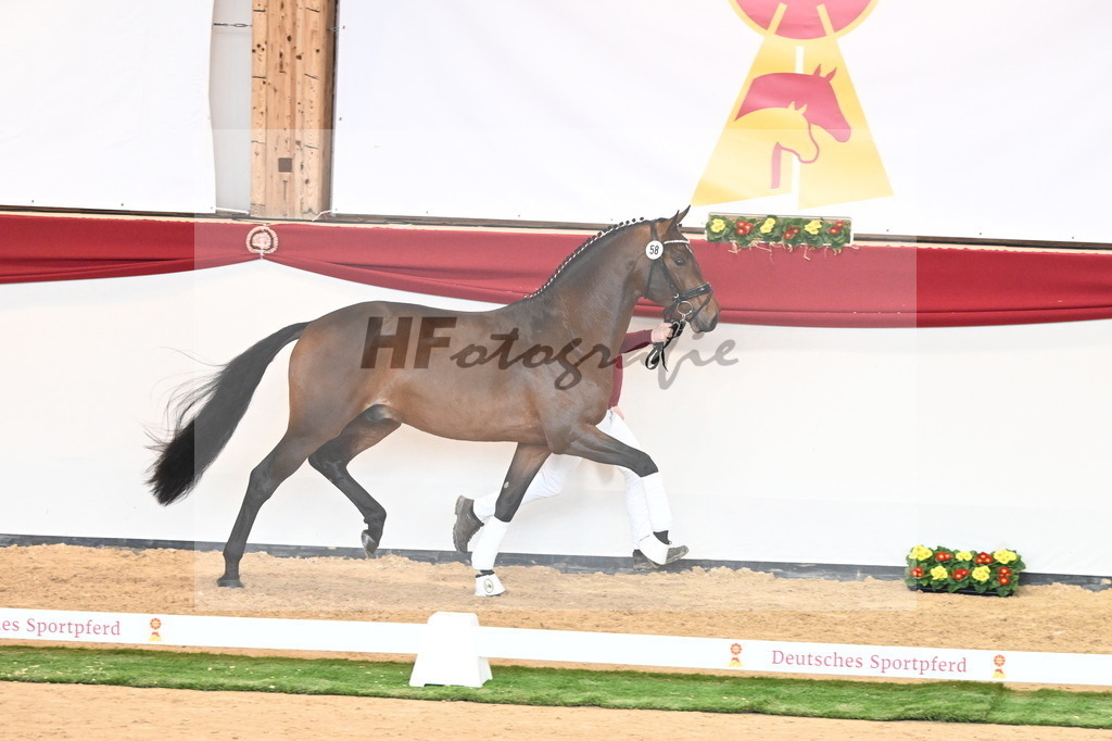 Kat.-Nr. 58 v. Monte Carlo TC_Fischer_2240846 | hf-fotografie - Realisiert mit Pictrs.com