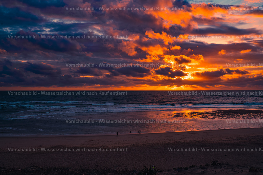 DSC01902 | marcuslinek