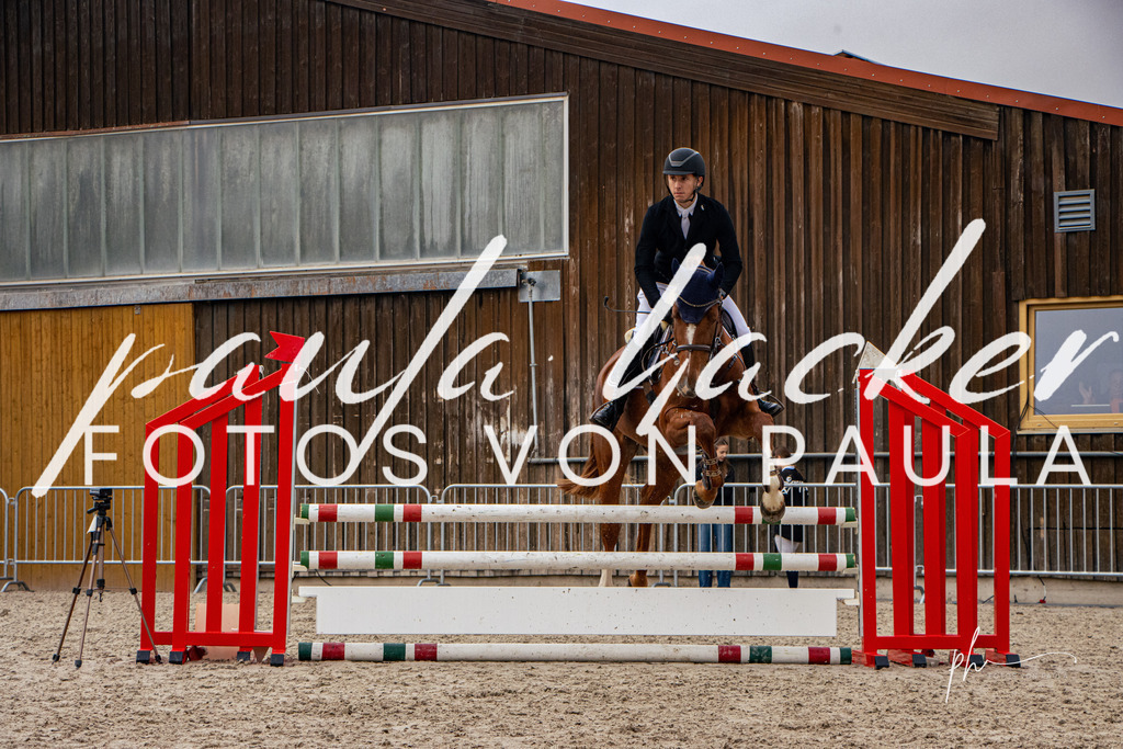 IMG_3039 | Erleben Sie dynamische Sport- und emotionale Tierfotografie in Süddeutschland mit Fotos von Paula. Spezialisiert auf Pferde- und Hundefotografie sowie Sportevents. Kontaktieren Sie mich für einzigartige und ausdrucksstarke Bilder Ihrer besonderen Momente. - Realisiert mit Pictrs.com