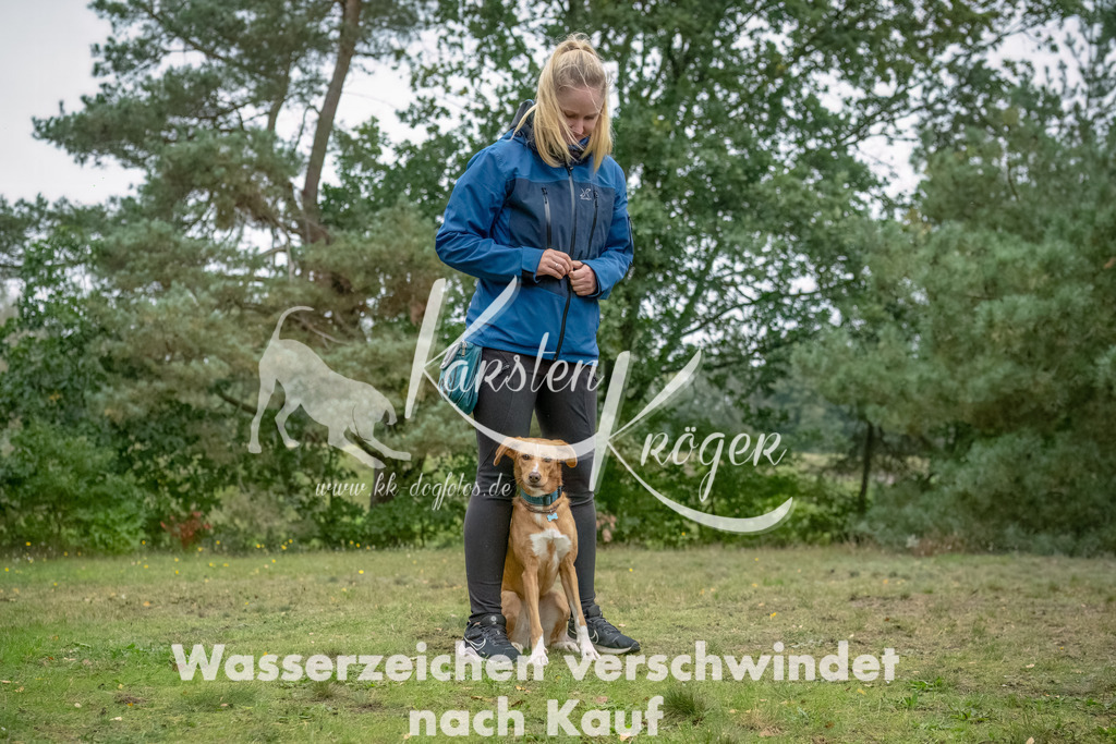 1516_ZZ94720-2-Bearbeitet | kk-dogfotos