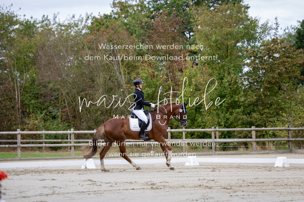 4M7A9471 | maris-fotoliebe - Realisiert mit Pictrs.com