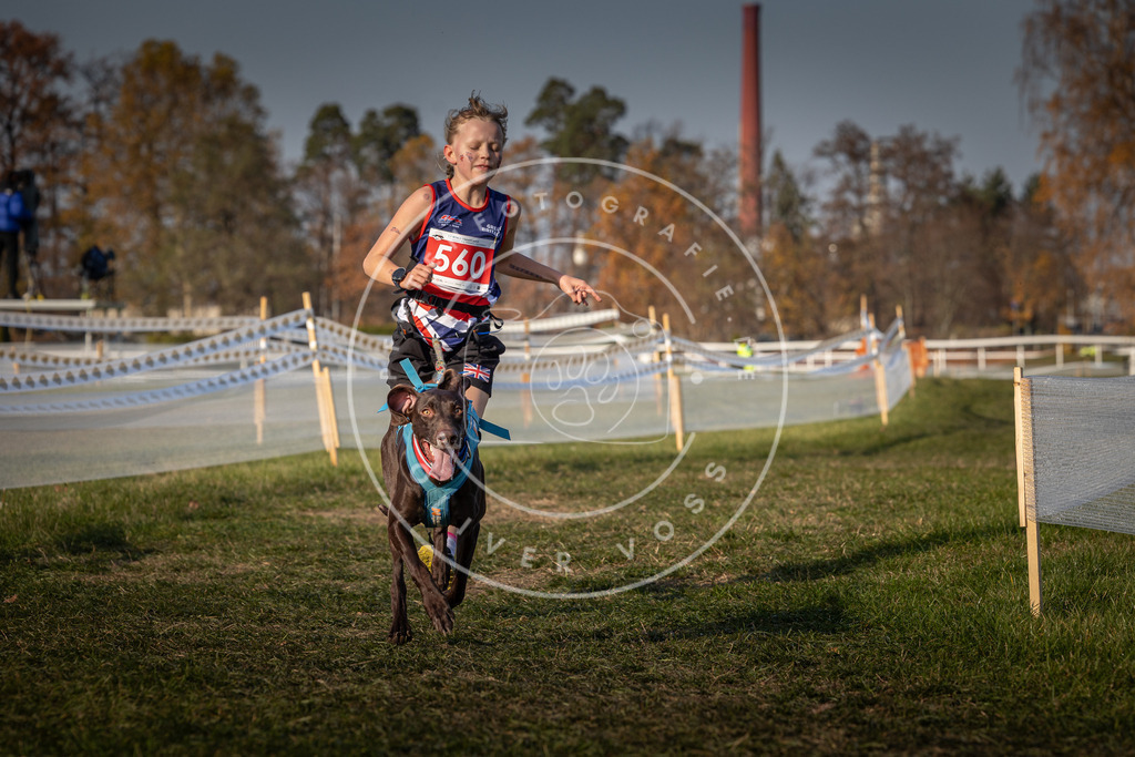 CaniXpix_0L8A9274 | Hundefotografie, Tierfotograf, Pfotenfotografie, Fotoshooting Hund, Hunde Portrait, Hundesport, Hundeportraits, Heideshooting, Hunde, Sportfotograf, Hundefotograf, Turnierhundsport, THS,  - Realisiert mit Pictrs.com