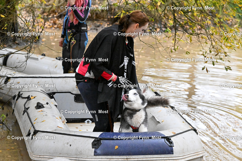 DSC_6664 | Hallo und herzlich Willkommen auf meiner Shop-Seite Fynn Most.

Ich wünsche Dir viel Spaß beim stöbern durch die Bilder, wenn Du Fragen hast oder Bilder vermisst, kannst du mir gerne eine Nachricht schreiben. - Realisiert mit Pictrs.com
