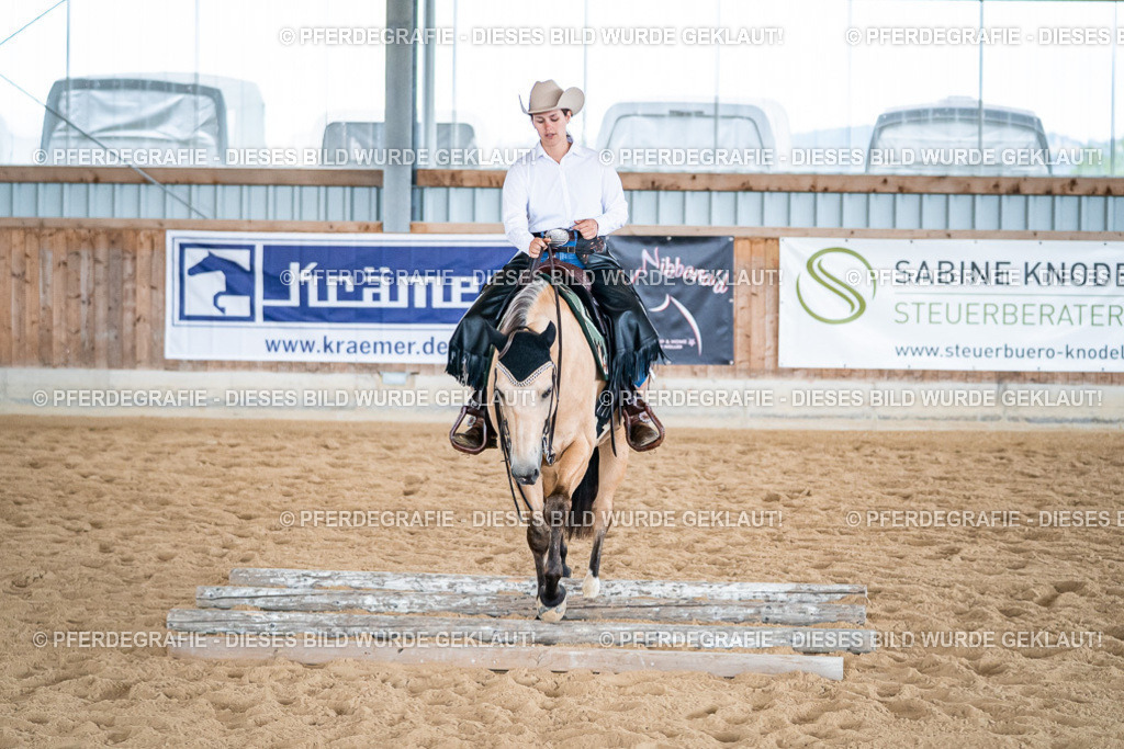 DSC03559 | Pferdegrafie