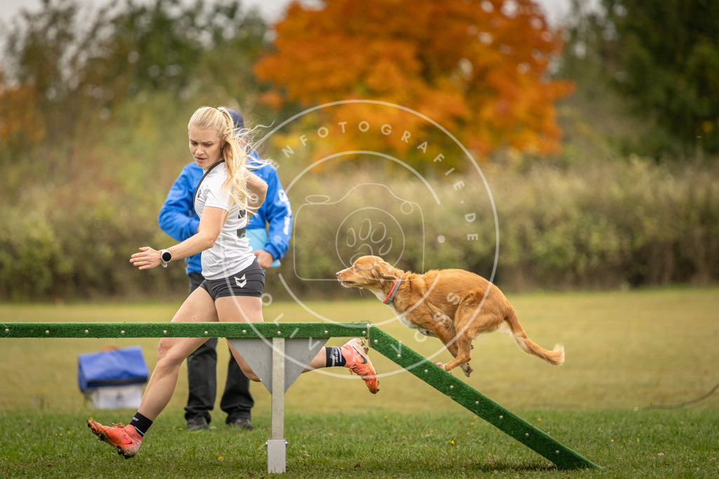 Pfotenfotografie_DV3A7412 | Hundefotografie, Tierfotograf, Pfotenfotografie, Fotoshooting Hund, Hunde Portrait, Hundesport, Hundeportraits, Heideshooting, Hunde, Sportfotograf, Hundefotograf, Turnierhundsport, THS,  - Realisiert mit Pictrs.com