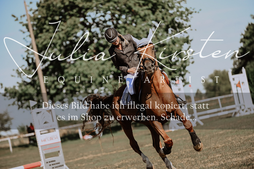 DSC_9289 | Pferde- und Turnierfotografie in Westsachsen. Pferdeportraits, Auftragszeichnungen und intuitive Kunst.