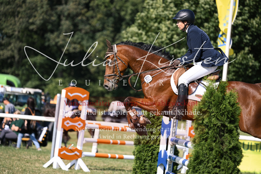 DSC_1259 | Pferde- und Turnierfotografie in Westsachsen. Pferdeportraits, Auftragszeichnungen und intuitive Kunst.