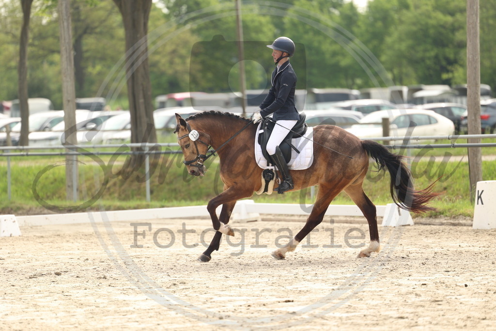 994A6341 | sabrinanicolaifotografie - Realisiert mit Pictrs.com