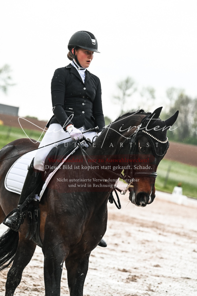 DSC_4341 | Pferde- und Turnierfotografie in Westsachsen. Pferdeportraits, Auftragszeichnungen und intuitive Kunst.