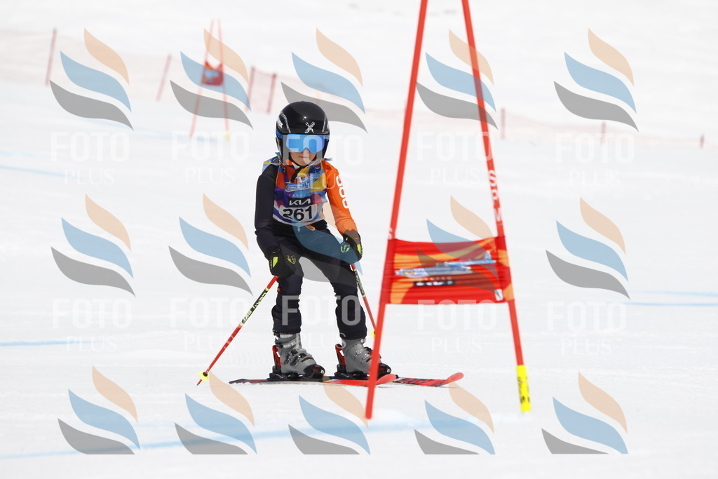 _U3G6536 | holidayphoto