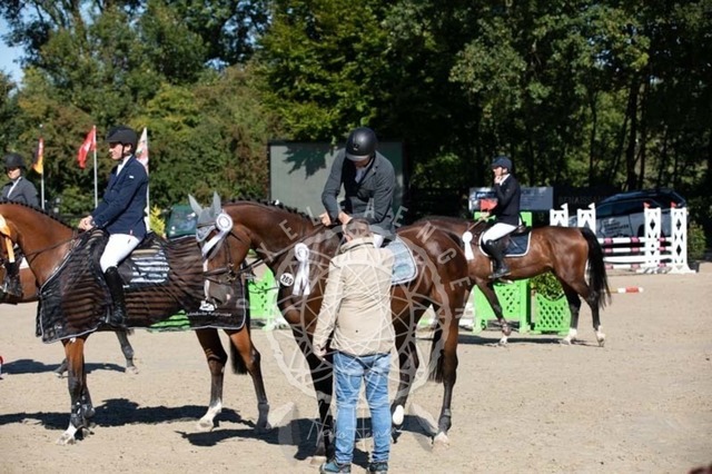 2B4A0377 | pixelfaenger - Realisiert mit Pictrs.com