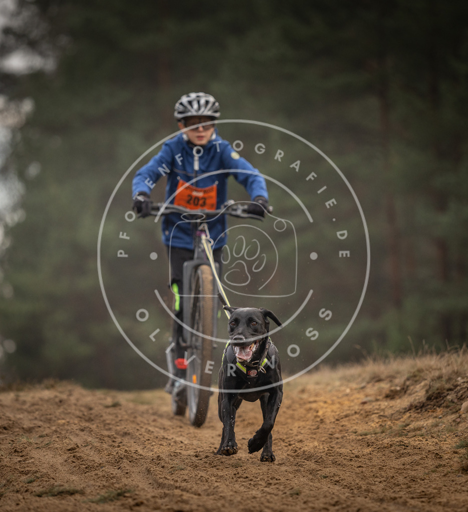Pfotenfotografie_DV3A5038 | Hundefotografie, Tierfotograf, Pfotenfotografie, Fotoshooting Hund, Hunde Portrait, Hundesport, Hundeportraits, Heideshooting, Hunde, Sportfotograf, Hundefotograf, Turnierhundsport, THS,  - Realisiert mit Pictrs.com
