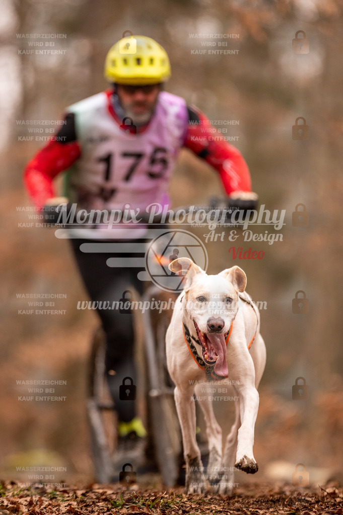 AKM_ST_2023_SAM_Scooter-51 | PayLife