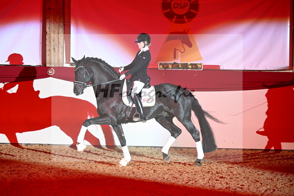 DSP Dream Royal_Arturi_2255189 | hf-fotografie - Realisiert mit Pictrs.com
