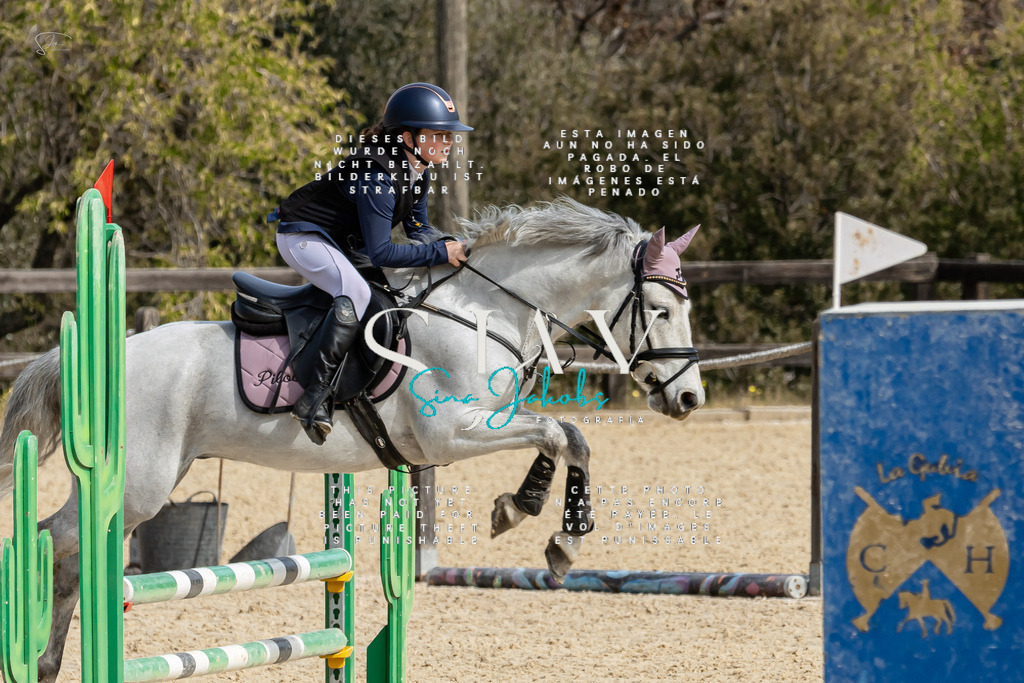 IMG_3130-2 | s-jay-photography - Realisiert mit Pictrs.com