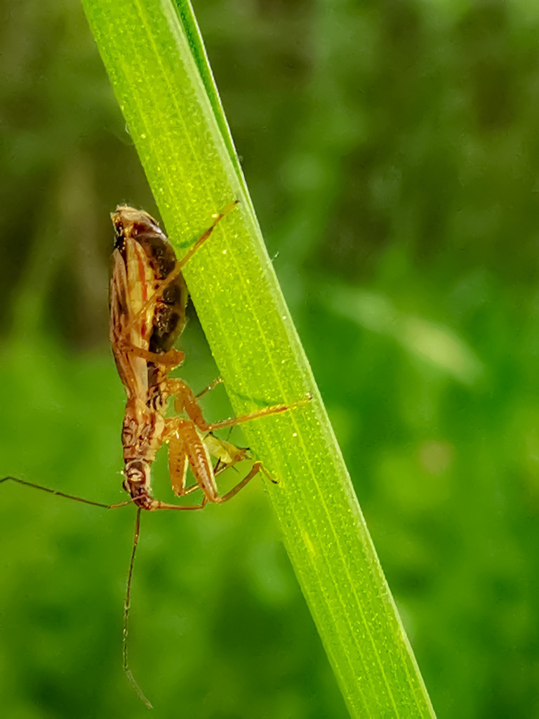 PSX_20230523_230434 | mtkfoto_ - Realisiert mit Pictrs.com