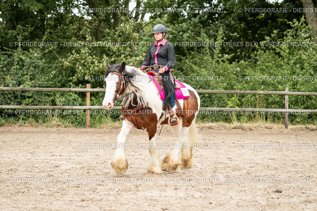 DSC01314 | Pferdegrafie