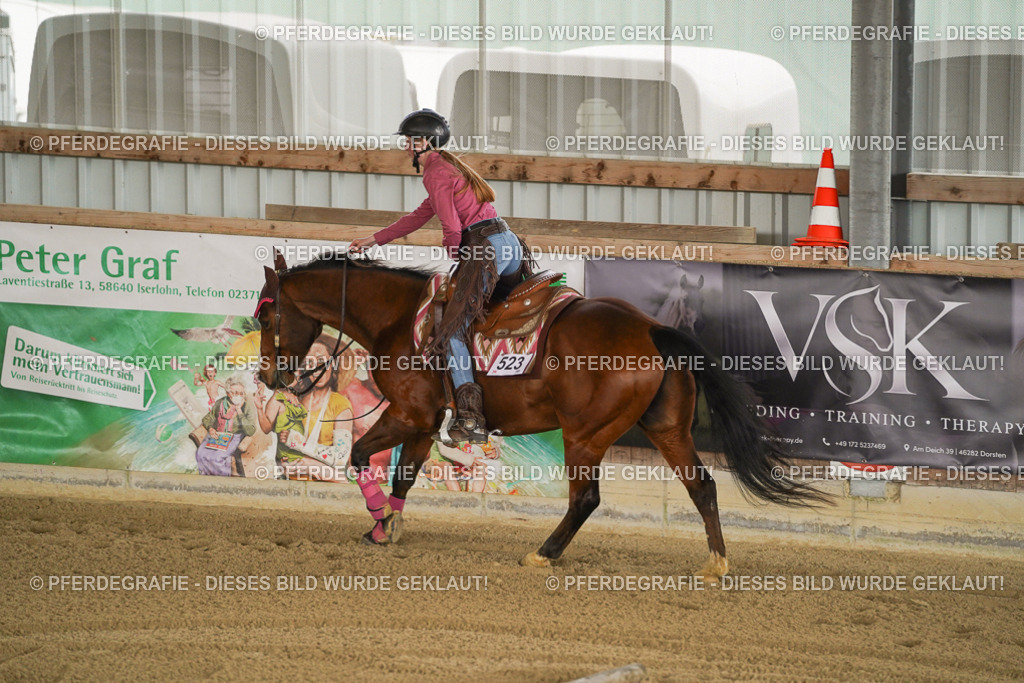 DSC05892 | Pferdegrafie