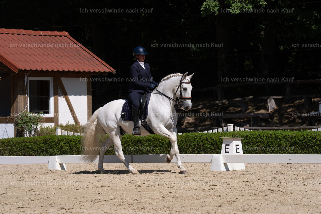 WS_DR_142_sinafilmart_IN09842 | working equitationturnier fotograf videograf stoibphotography marixx film working equitation deutschland reitsport turnierfotografie eventfotografie equestrian events