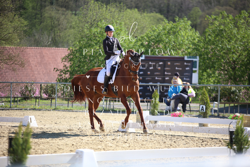 IMGT8721 | pl-fotografie