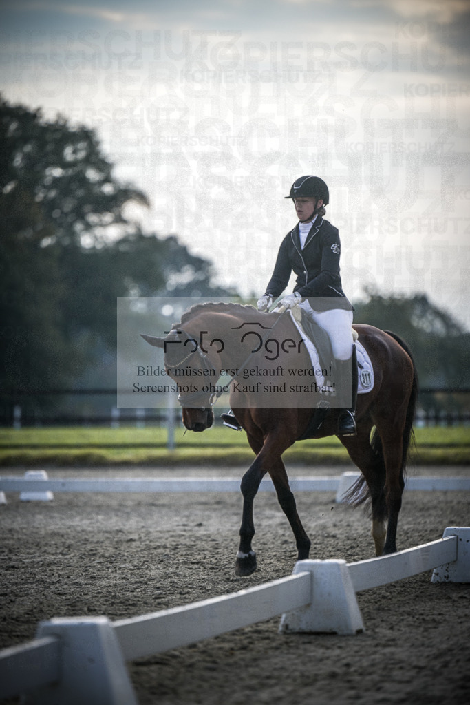 DOS_B003 | Entdecke hochwertige Reitturnierfotos von Foto Oger. Professionell, emotional und authentisch – jetzt Lieblingsmomente im Shop bestellen.Deutschlandweite Turnierfotografie. - Realisiert mit Pictrs.com
