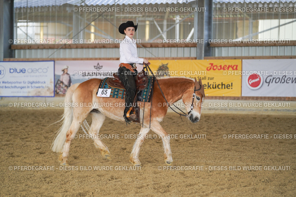 DSC01201 | Pferdegrafie