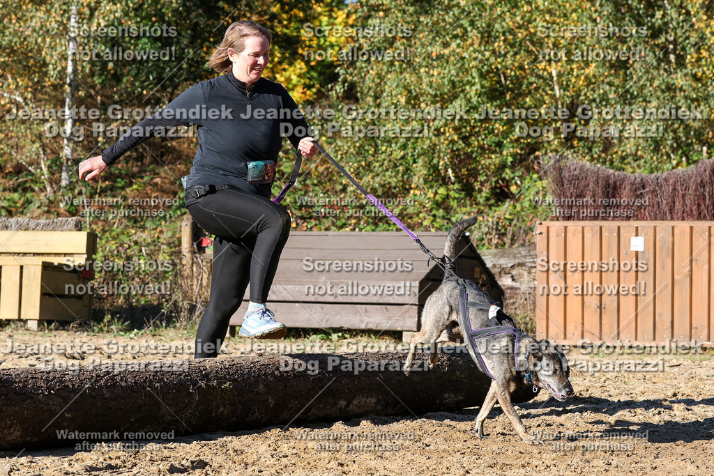 Dog Paparazzi - Strongdog 10-25-1975 | Dog Paparazzi Jeanette Grottendiek Fotografie & Videografie - Realisiert mit Pictrs.com