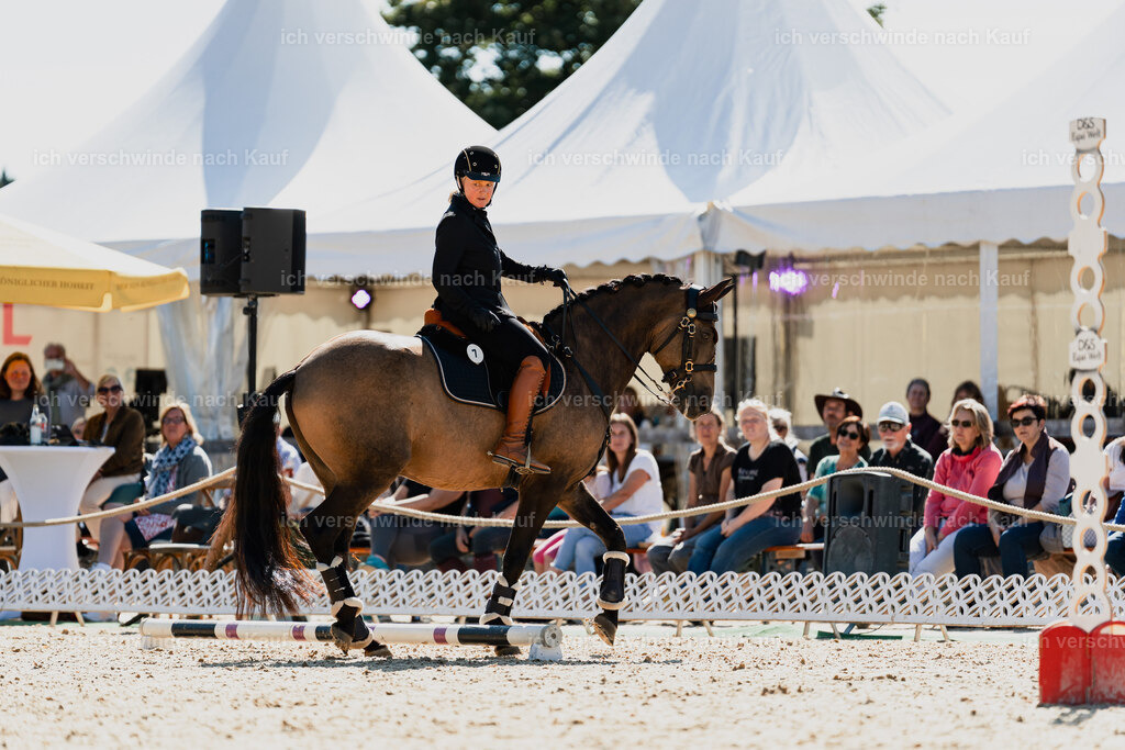 Katja7_FHC2025-08953 | working equitationturnier fotograf videograf stoibphotography marixx film working equitation deutschland reitsport turnierfotografie eventfotografie equestrian events