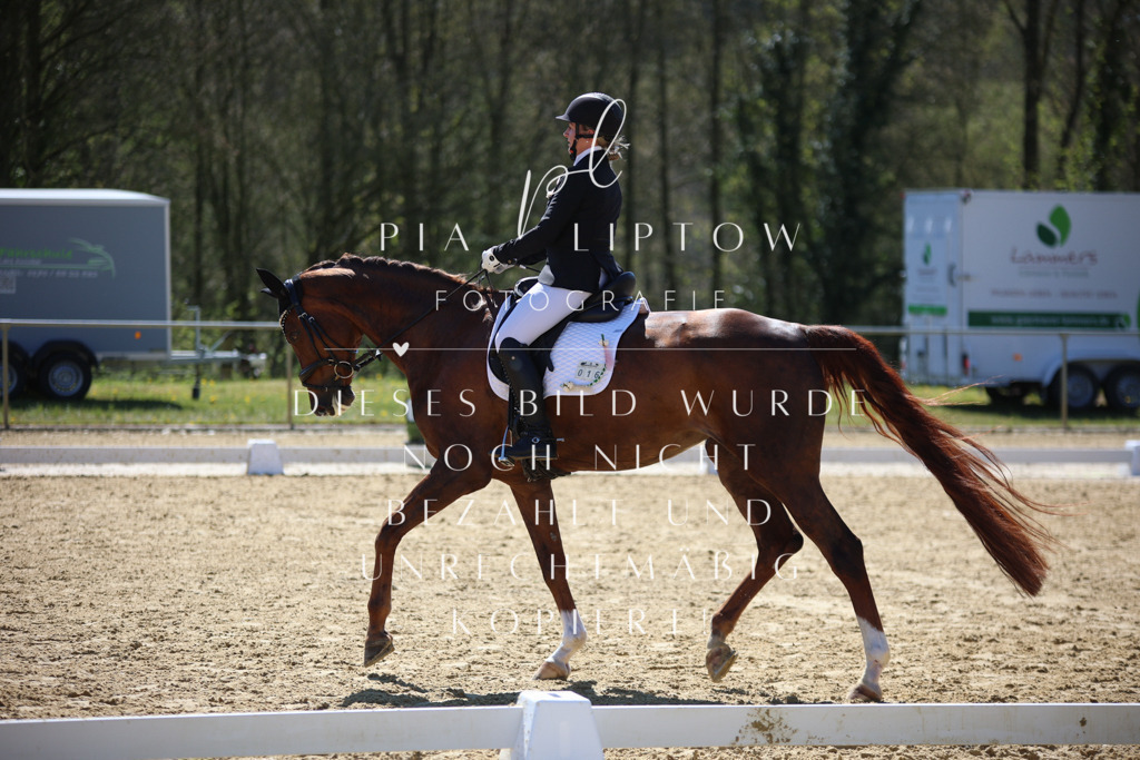 IMGT1026 | pl-fotografie