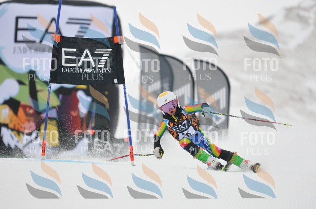 DSC_7504 | holidayphoto