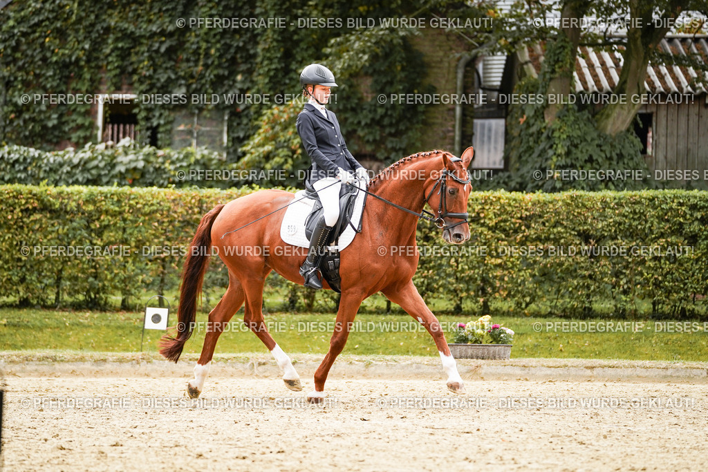 DSC07592 | Pferdegrafie