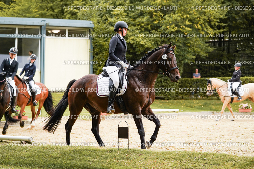 DSC00059 | Pferdegrafie