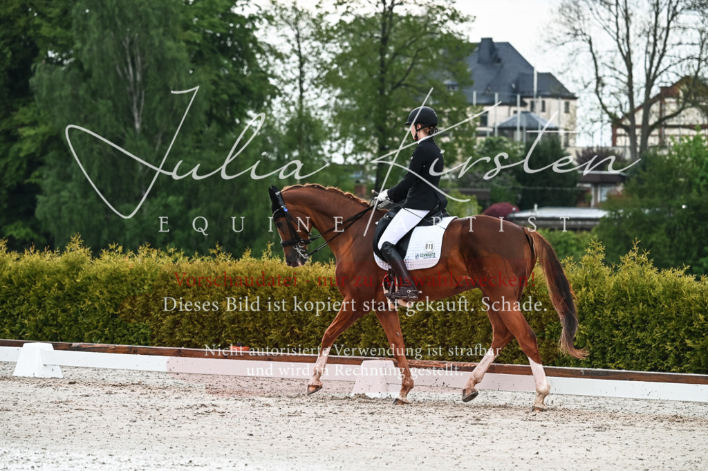 DSC_4273 | Pferde- und Turnierfotografie in Westsachsen. Pferdeportraits, Auftragszeichnungen und intuitive Kunst.