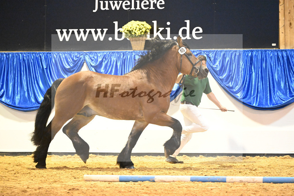 Kat-Nr. 40 Eulenspiegel_Fassbender_53221233 | hf-fotografie - Realizzato con Pictrs.com