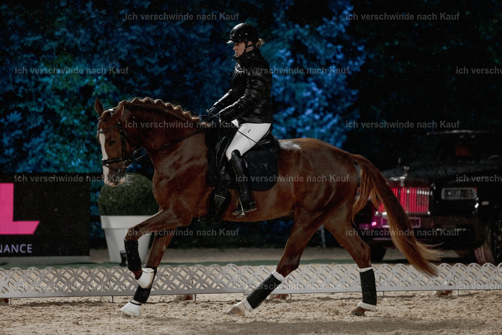 FHClassics-25 | working equitationturnier fotograf videograf stoibphotography marixx film working equitation deutschland reitsport turnierfotografie eventfotografie equestrian events