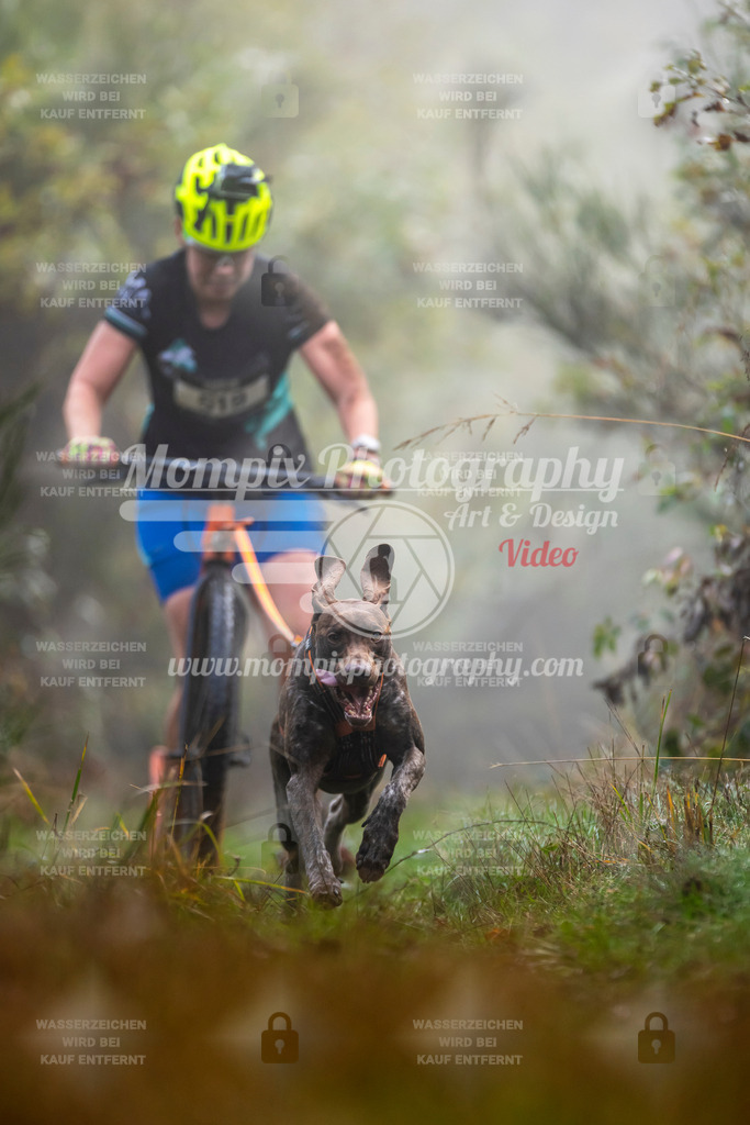 MompixPhotography_20TSB_E4_DS1-12 | PayLife