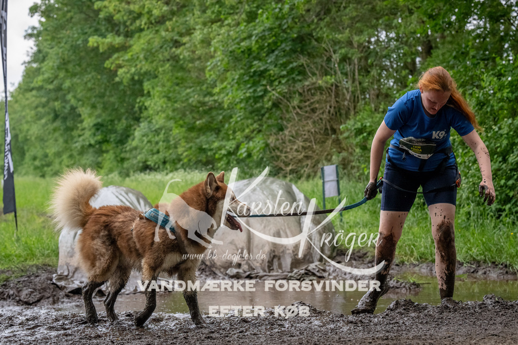 1552_ZZ90767-Bearbeitet | kk-dogfotos