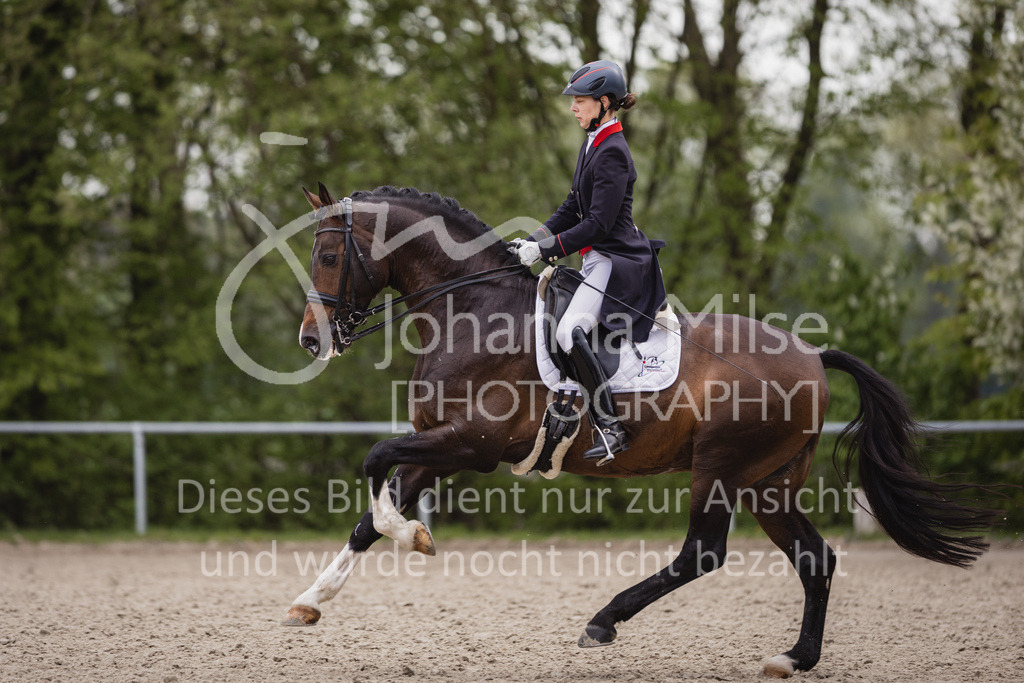 230429_Dressurfestival_S3St-209 | Deine schönsten Turniermomente als professionelle Fotos! Entdecke hochwertige Pferdesport-Fotografie im Online-Shop. Jetzt Fotos finden & bestellen!