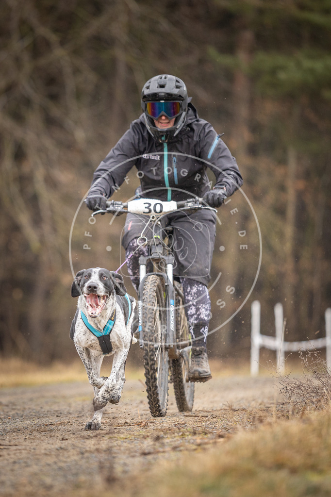 DV3A3293 | Hundefotografie, Tierfotograf, Pfotenfotografie, Fotoshooting Hund, Hunde Portrait, Hundesport, Hundeportraits, Heideshooting, Hunde, Sportfotograf, Hundefotograf, Turnierhundsport, THS,  - Realisiert mit Pictrs.com