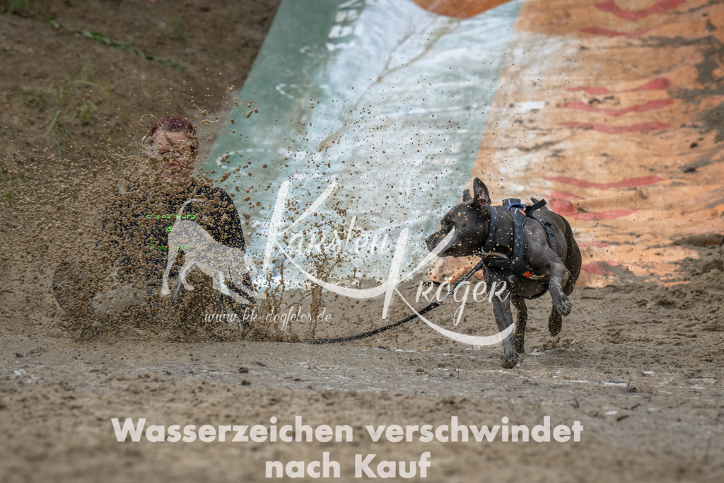 1459_ZZ93680-Bearbeitet-2 | kk-dogfotos