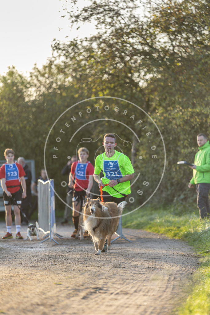 Pfotenfotografie.de_DV3A2372 | Hundefotografie, Tierfotograf, Pfotenfotografie, Fotoshooting Hund, Hunde Portrait, Hundesport, Hundeportraits, Heideshooting, Hunde, Sportfotograf, Hundefotograf, Turnierhundsport, THS, canicross - Realisiert mit Pictrs.com