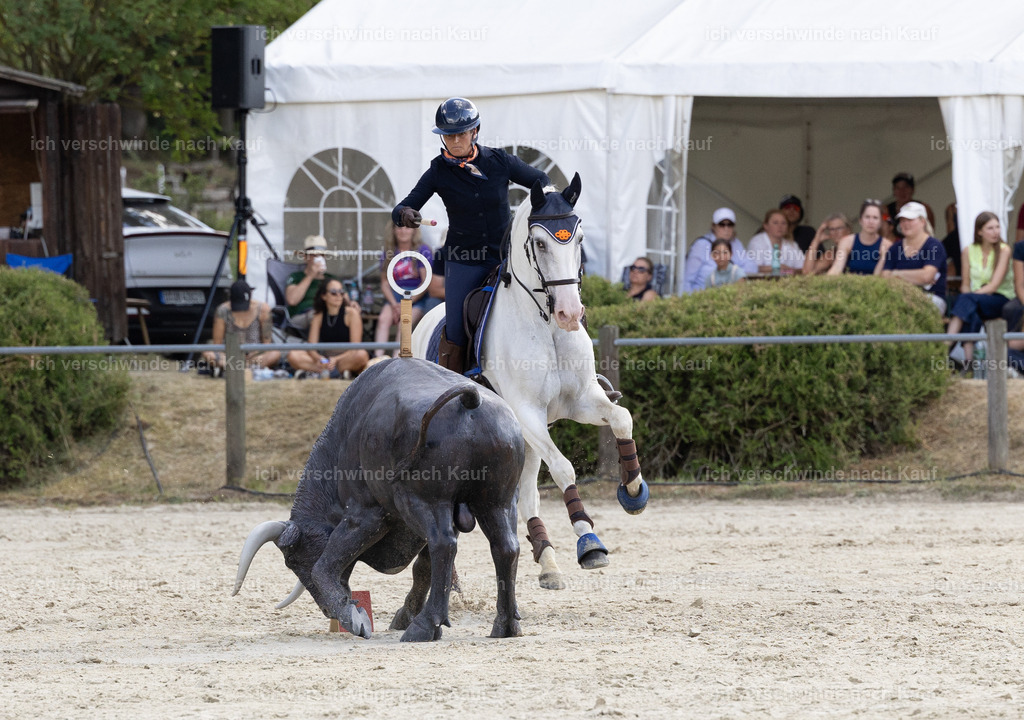 WS_SPEED_52_KerstinBernhardt-4 | working equitationturnier fotograf videograf stoibphotography marixx film working equitation deutschland reitsport turnierfotografie eventfotografie equestrian events