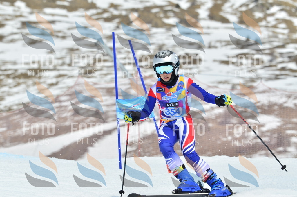 _ELE2726 | holidayphoto