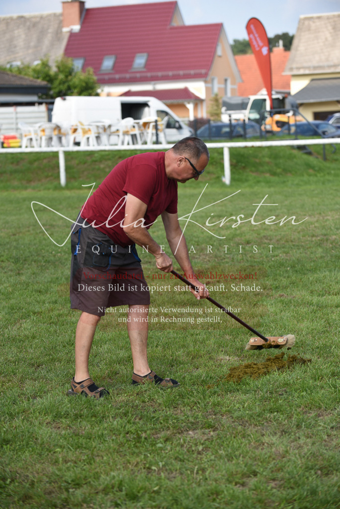 DSC_8852 | Pferde- und Turnierfotografie in Westsachsen. Pferdeportraits, Auftragszeichnungen und intuitive Kunst.