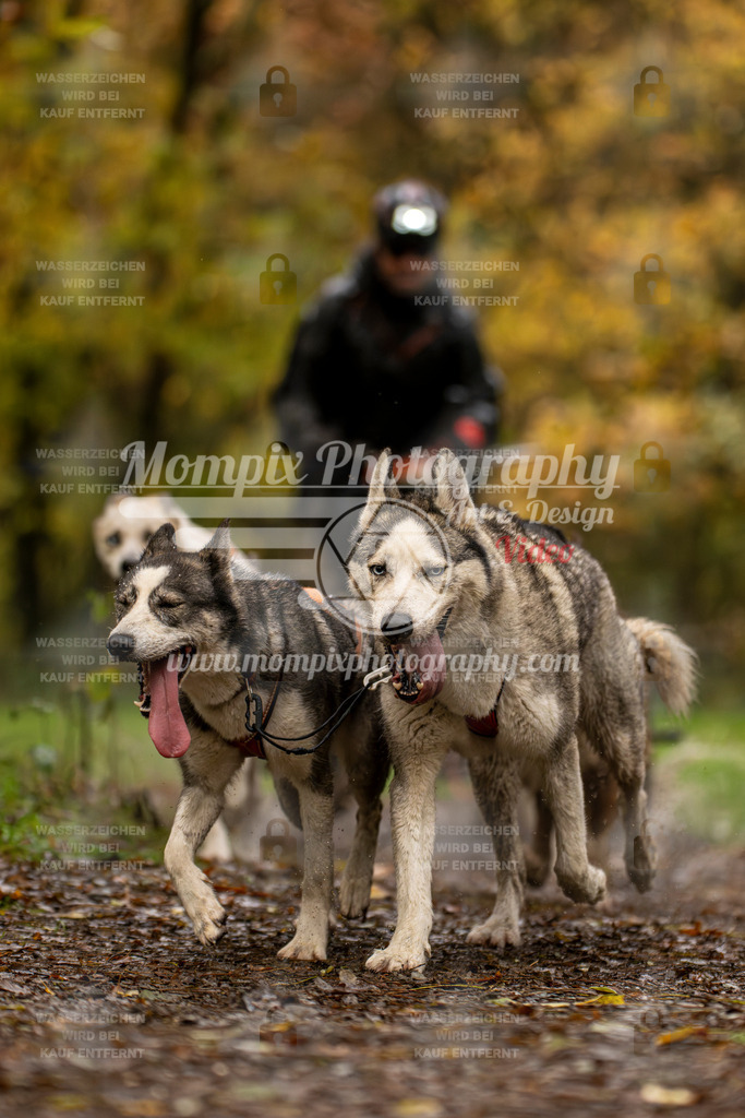 MompixPhotography_Bischwiller23_Kart-23 | PayLife