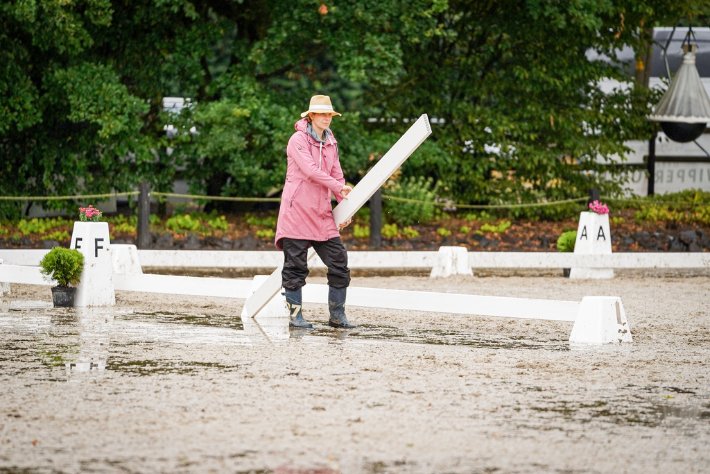 DSC09612 | Pferdegrafie