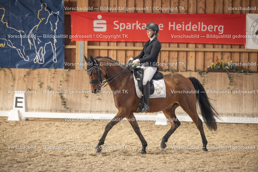 _D5A3063 | Emotionale Pferde- & People-Fotografie rund um Heidelberg, Leimen & Umgebung. Natürliche Fotos von Pferd, Mensch & Familie. Jetzt Termin sichern!