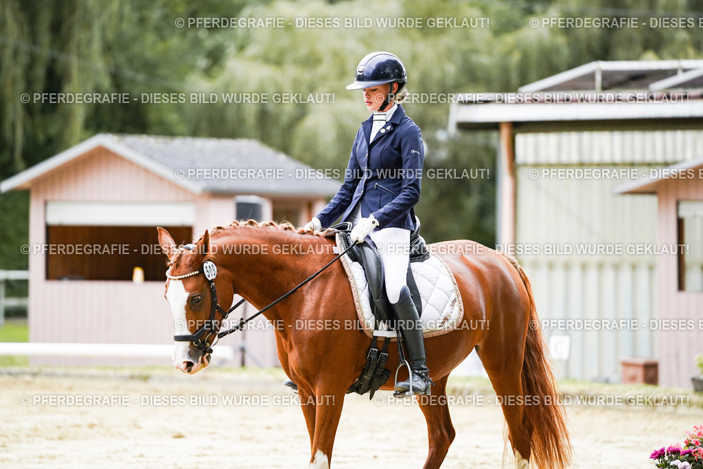 DSC07627 | Pferdegrafie