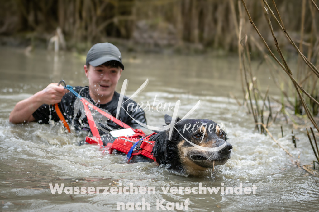 1527_ZZ93064 | kk-dogfotos